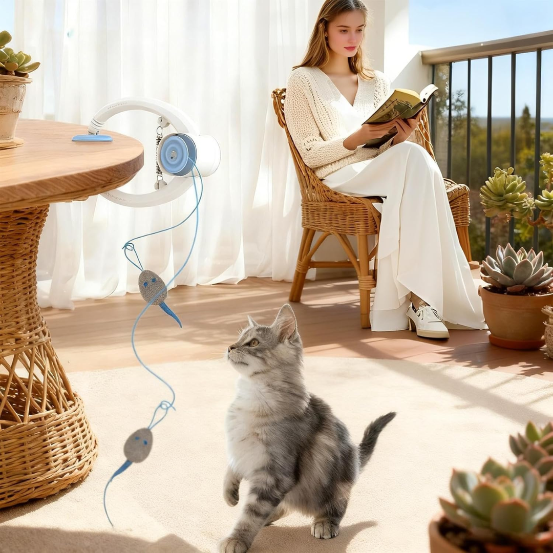 Juguete interactivo para gatos